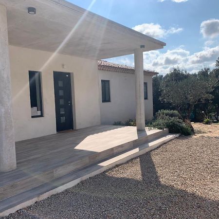 Magnifique Villa classée 4* meublé de tourisme Flassans-sur-Issole Esterno foto