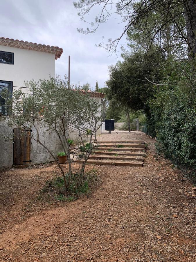 Magnifique Villa classée 4* meublé de tourisme Flassans-sur-Issole Esterno foto